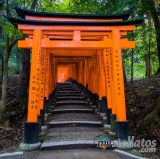 Japan-2022-Full-7758-HDR-Edit-2